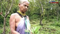 Encyclopedia of Forest Tulasi Gowda among Padma Shri 2020 awardees