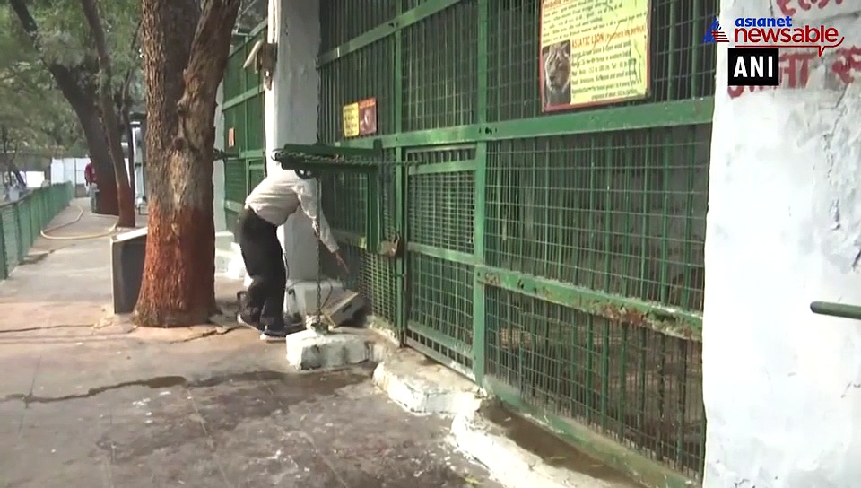 Ahmedabad Zoo makes special arrangements to keep animals warm