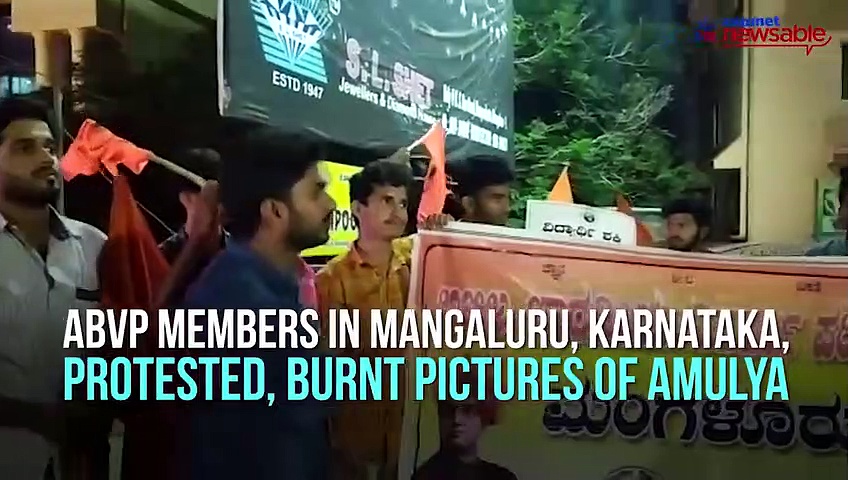 Karnataka sees red as 19-year-old Amulya raises pro-Pakistan slogans
