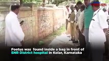 Foetus found in a bag in front of Kolar hospital