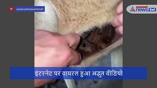 अंदर से ऐसा दिखता है मां का गर्भ, स्पेशल कैमरे को डाल बनाया ये वीडियो तो सहम गया बच्चा