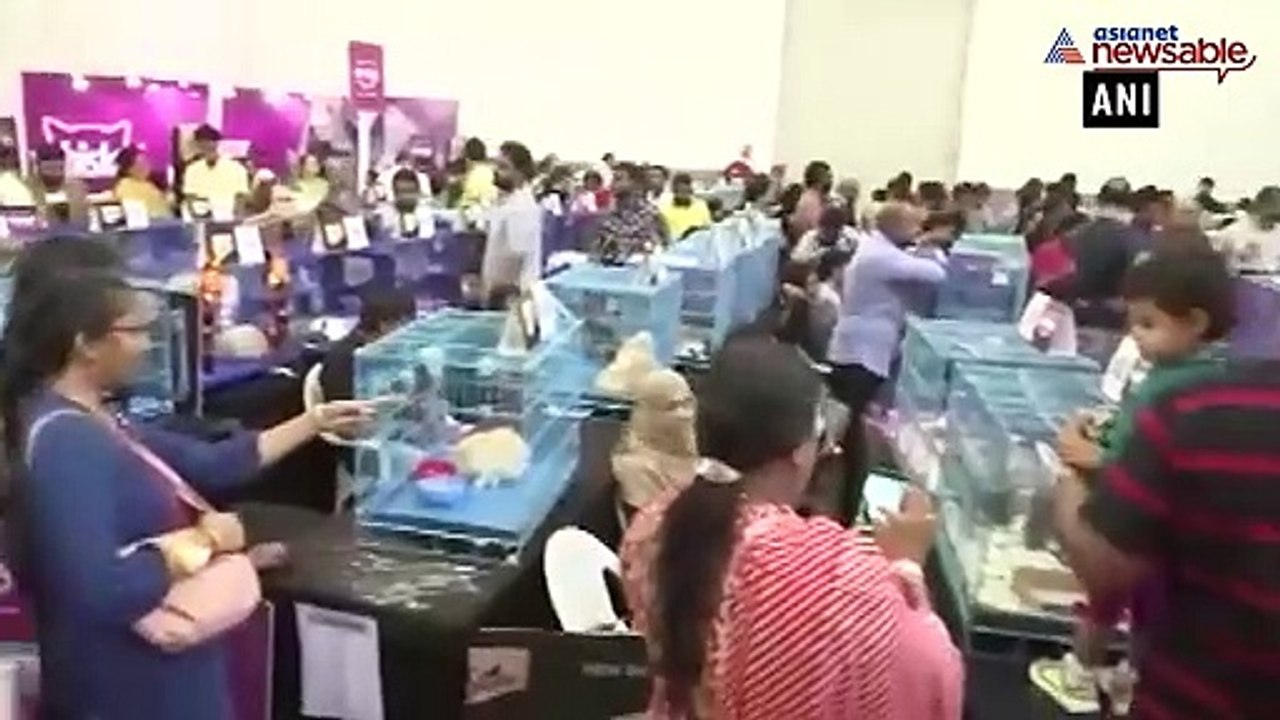 Pet show in Hyderabad