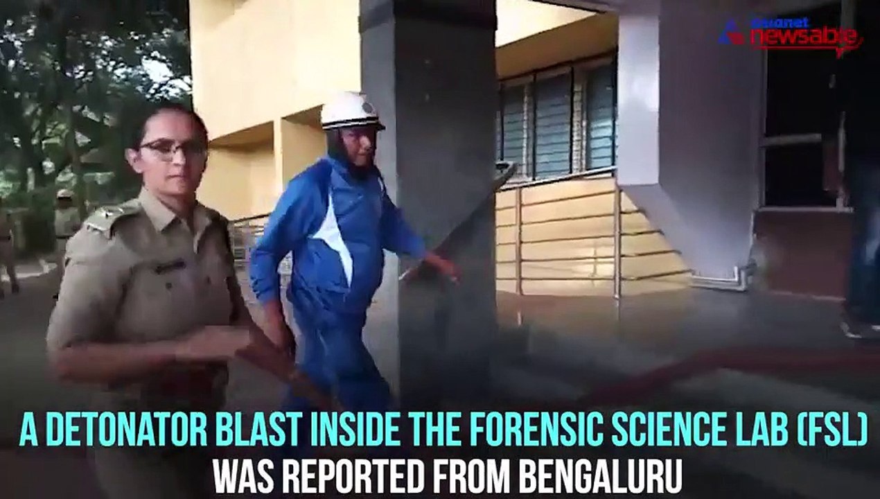 Detonator Newsable