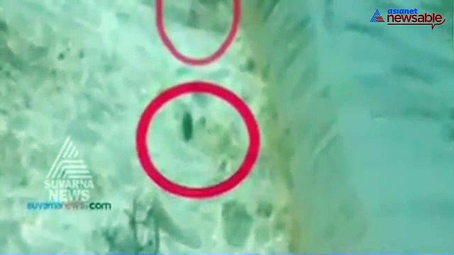 Watch: Farmer washed away by a flash flood in Davangere