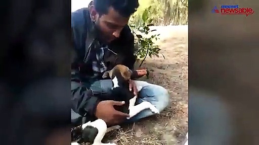 Drunk man forcefully feeds puppy with alcohol in Karnataka’s Uttara Kannada
