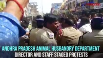 Hyderabad veterinarian rape and murder case: Doctors take out rally
