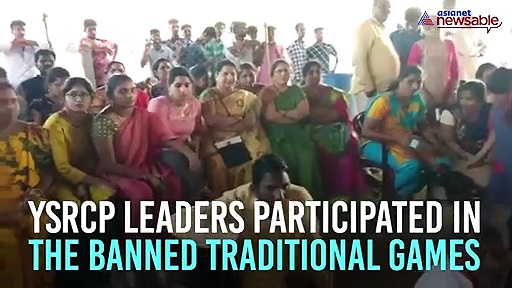 Despite ban, cock and sheep fights witnessed in Andhra Pradesh