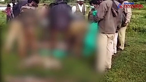 Three leopards including two cubs found dead in Nanjangud