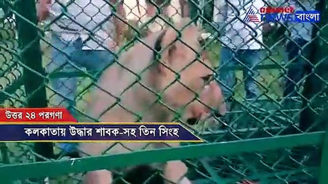 Animal smuggling in Kolkata