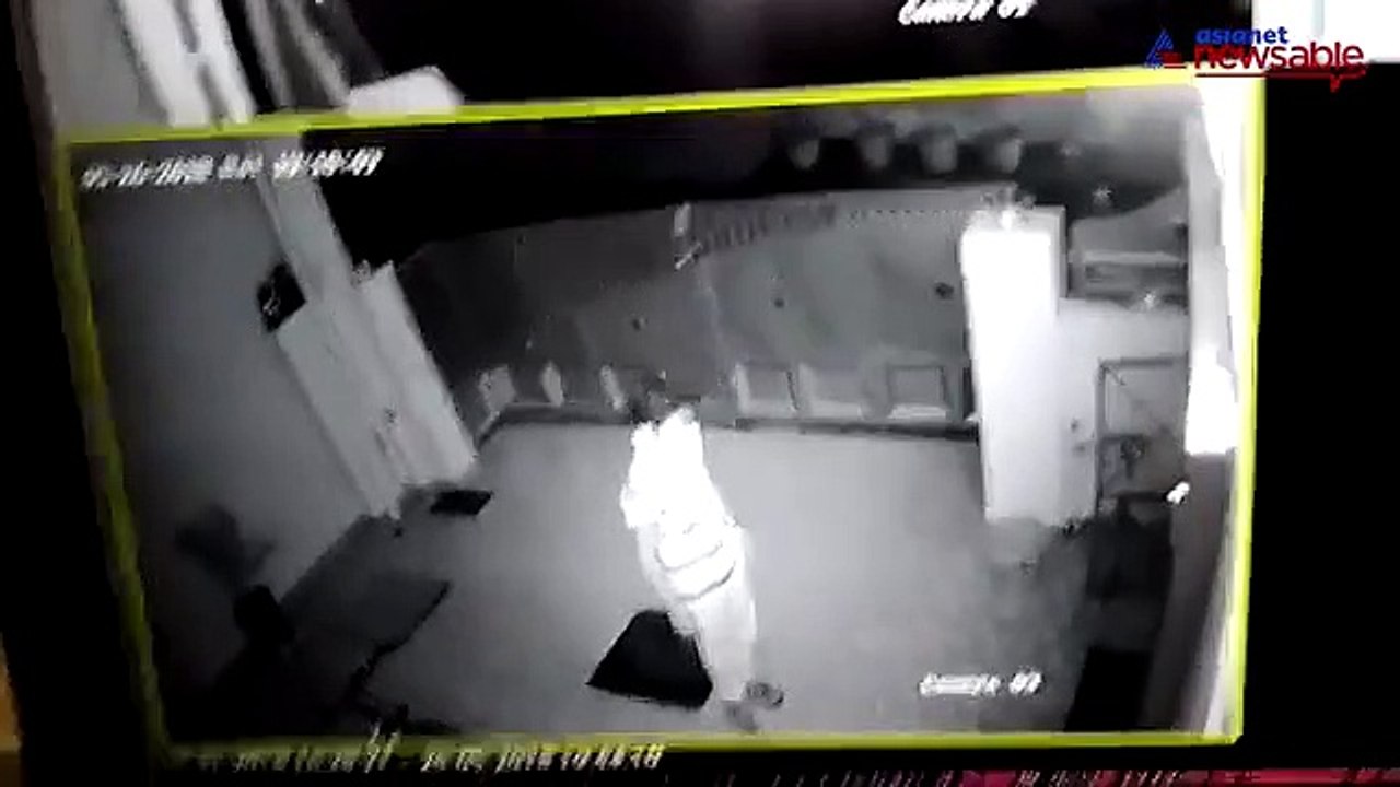 Pug stolen