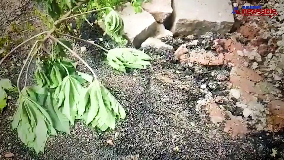 BBMP's deadline drama: Repaired pothole caves in within 24 hours of repair