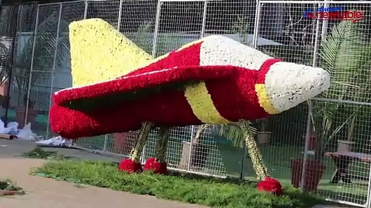 Aero India 2019: Aircraft pay tribute to Surya Kiran pilot, Rafale steals show on inaugural day