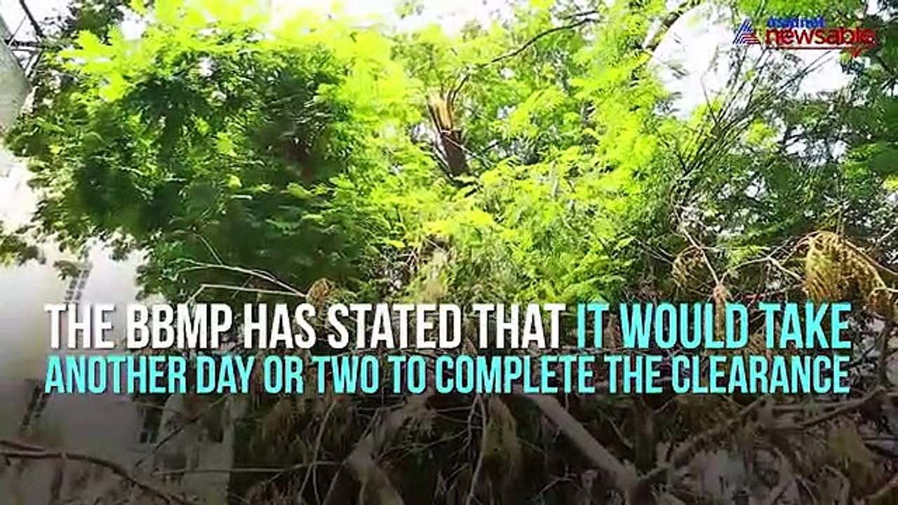 Battered Bengaluru still in bad shape: BBMP yet to clear uprooted trees from streets completely