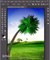 Photoshop For Beginners- Short, FREE Tips Download Photoshop For Free