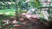 Gardeners beautifying Bengaluru pushed into debts by Karnataka government