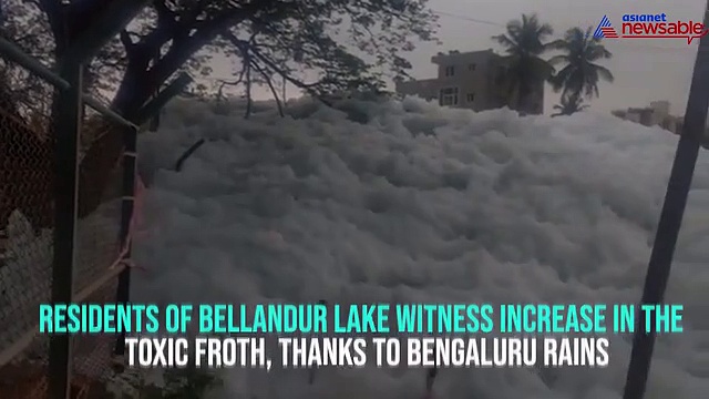 Bengaluru rains: Bellandur lake develops froth again, residents request permanent solution (Video)