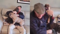 'French bulldogs shower returning grandad with endless love '