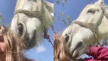 'Kindhearted lady receives cuddles while spending time with healing horse '