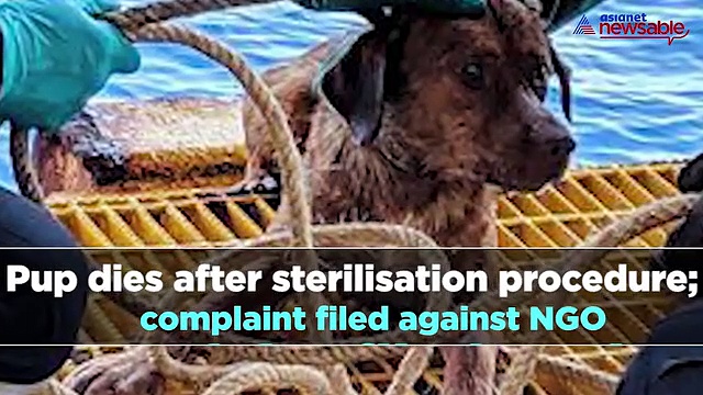 From extramarital affairs to man flashing near women's hostel, watch Bengaluru Night Cap