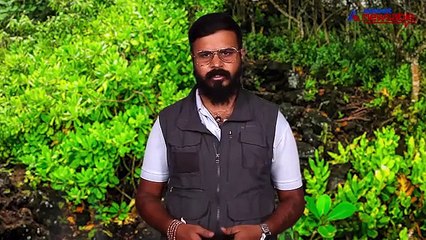 No confidence motion left hanging in the Parliament, while a naturalist tries to preserve the Lingayats