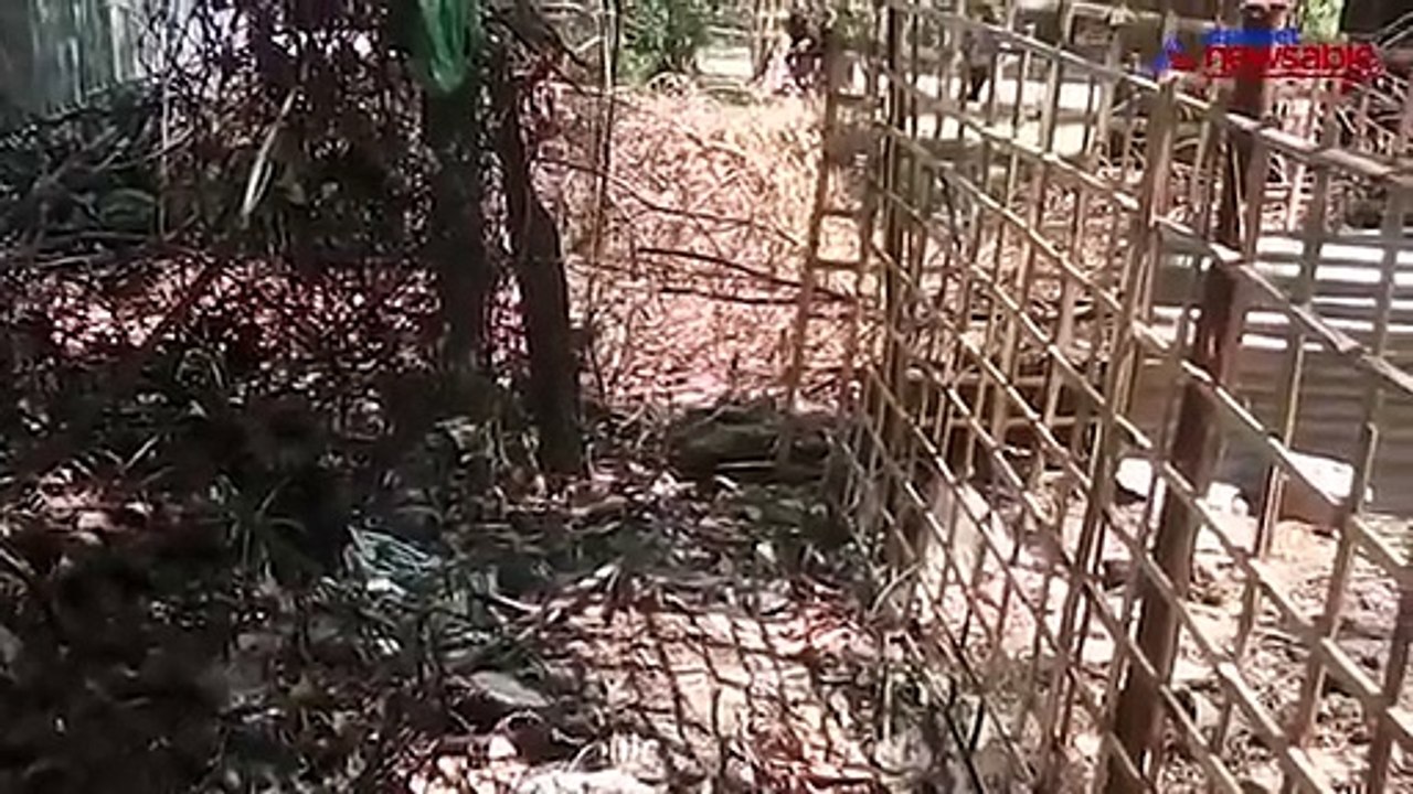 Ballari Snakes