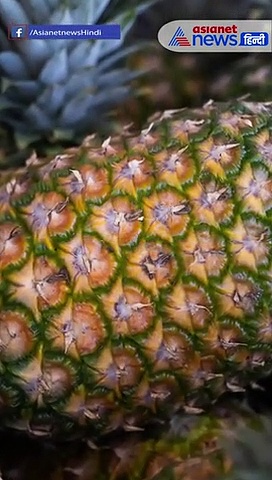 गर्भवती हथिनी को खाने में दिया विस्फोटक, पेट में भड़की आग को बुझाने पानी में खड़ी रही बेजुबान