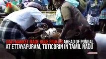 Tamil Nadu goat market