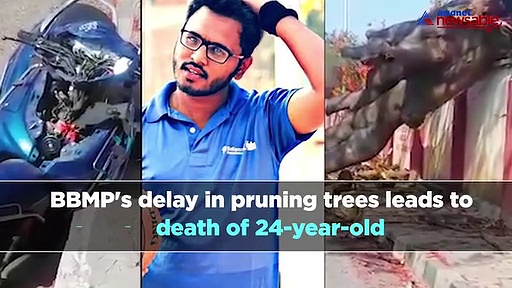 Bengaluru Night Cap: From BBMP's negligence to RCB's confidence