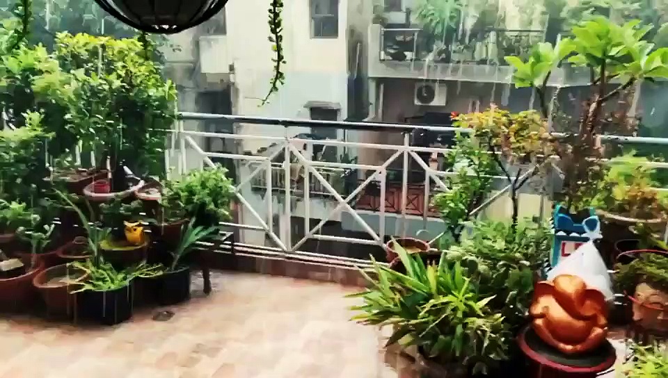 दिल्ली में तेज आंधी तूफान और बारिश, ओले गिरे, पेड़ टूटे, देखें वीडियो