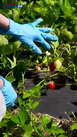 खाने से लेकर घर पे वक़्त देने तक जानिए लोगो की Lockdown की स्टोरी