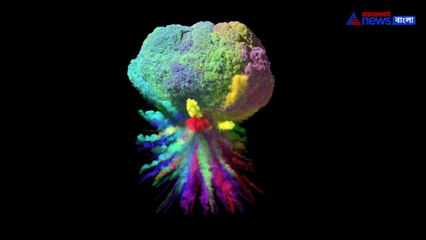 How Color Influence us