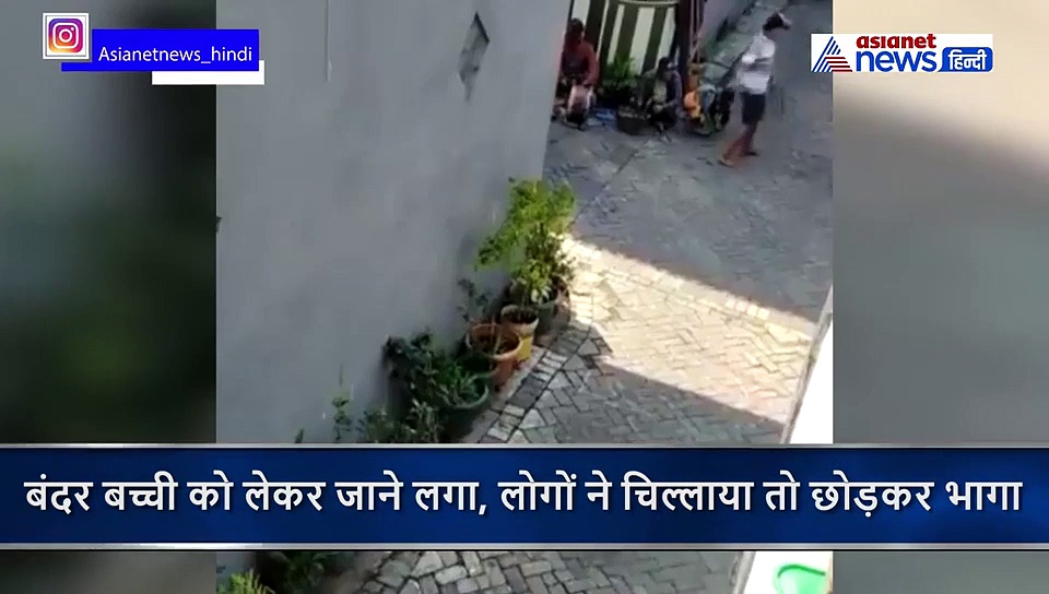 खेल रही बच्ची पर बंदर ने मारा झपट्टा, फिर गर्दन पकड़ दूर तक घसीटता रहा, सामने आया वीडियो