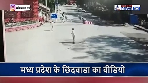 लॉकडाउन में तेज रफ्तार का कहर, ड्राइवर ने बेरीकेटिंग तोड़ी और ले ली बेजुबान की जान