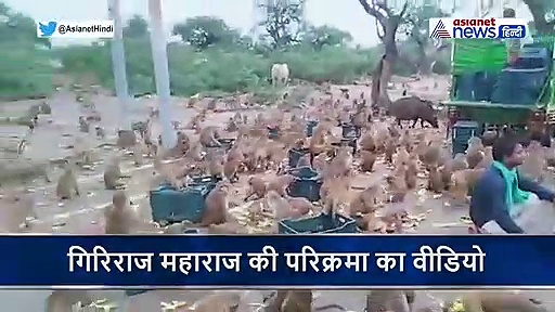 लॉकडाउन के बीच यहां चल रहा सैकड़ों बंदरों का भंडारा, वीडियो हुआ वायरल