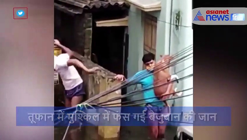 अम्फान तूफान  में फंस गया था बेजुबान, दो लोगों ने मिलकर बचाई डॉग  की जान