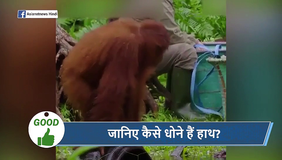 5 वायरल खबरें: टूटी हुई चप्पल लेकर एयरपोर्ट से बाहर निकले गौतम गंभीर, वायरल हो रहा वीडियो