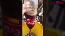 Shocking: Rotten rat found inside a Coca-Cola bottle, will make you feel disgusted