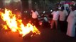 Periyar statement of BJP's H Raja: DMK members burn his effigy in TN