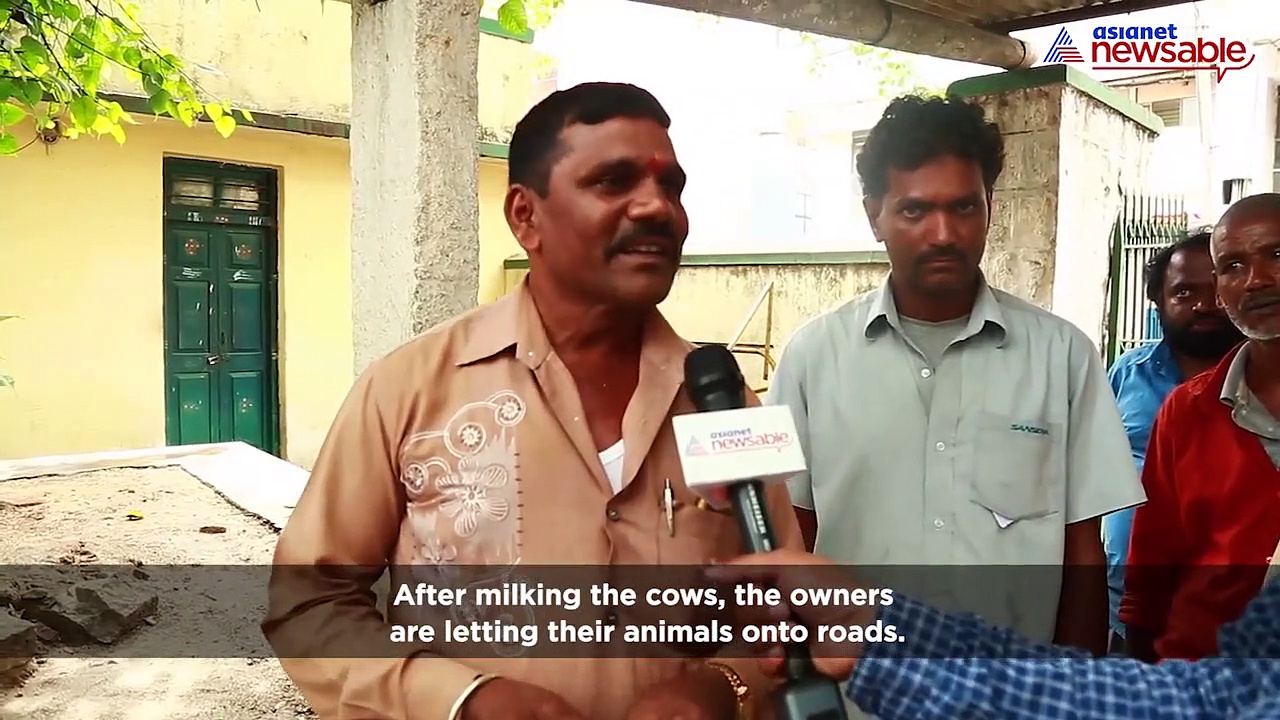 PubliCity: Holy cow! Here’s why Bengaluru traffic is set to get worse