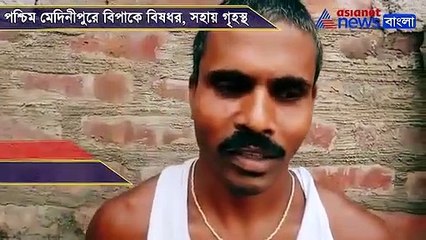 Venomous snake recovered from a house in Paschim Medinipore