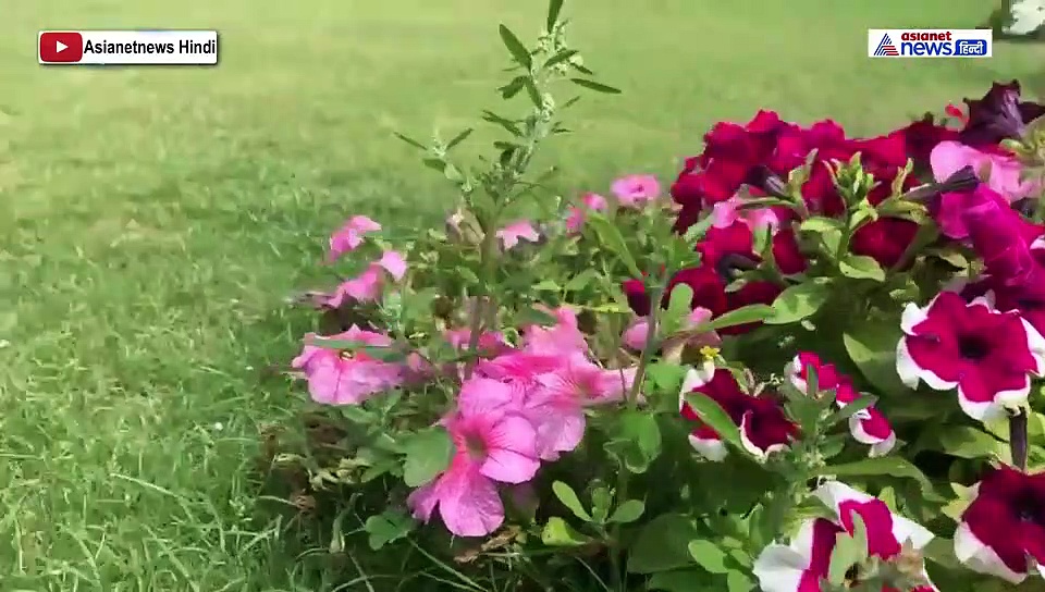 कोरोना और लॉकडाउन के बीच घर में खुद को ऐसे रख रहे फिट, देखें वीडियो