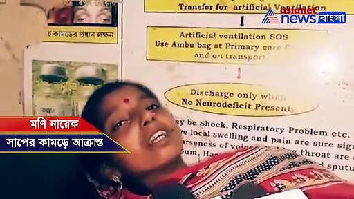 রোগীর সঙ্গেই হাসপাতালে জোড়া চন্দ্রবোড়া, আতঙ্ক বেলদায়, দেখুন ভিডিও