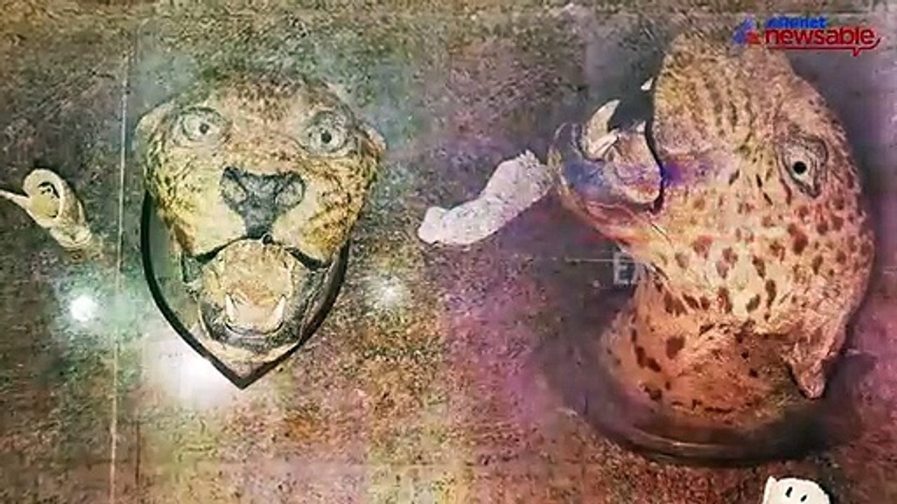 Exclusive: Illegal wildlife trade raided, Asianet Newsable joins the action