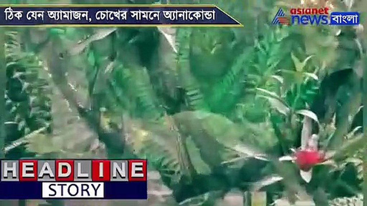Public can view Anacondas at Alipur zoo from now