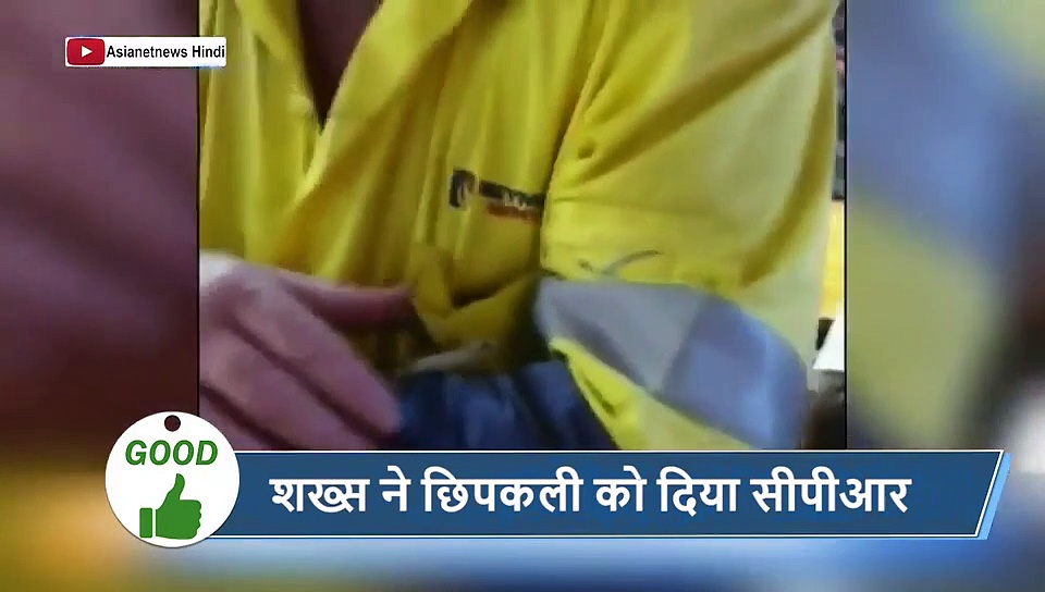 5 वायरल खबरें: एक शख्स ने छिपकली को दिया सीपीआर बचा ली उसकी जिंदगी