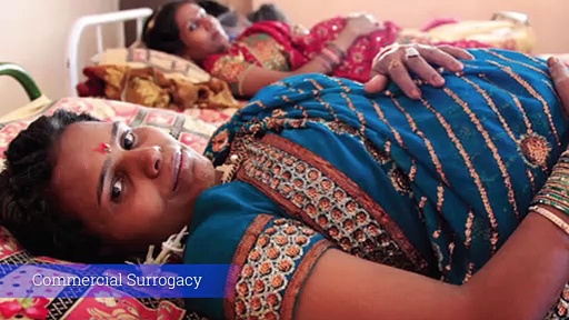 আজকের বিশেষ খবর এক ঝলকে, দেখুন ভিডিও