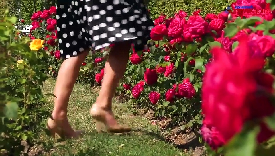 Tips and Tricks: Dressing for a younger you, going nuts and knowing how long a book takes to read