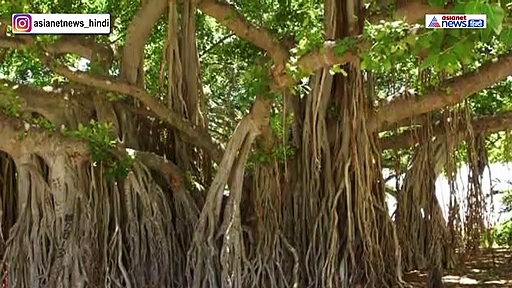 महालक्ष्मी को प्रसन्न करने के ये 7 सरल उपाय , इस दिन से करें तो मिलेगा लाभ