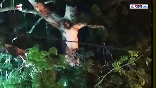 कैमरे में कैद हुए भगवान, भीड़ ने कहा-  दुनिया को कोरोना से बचाने आ गए प्रभु