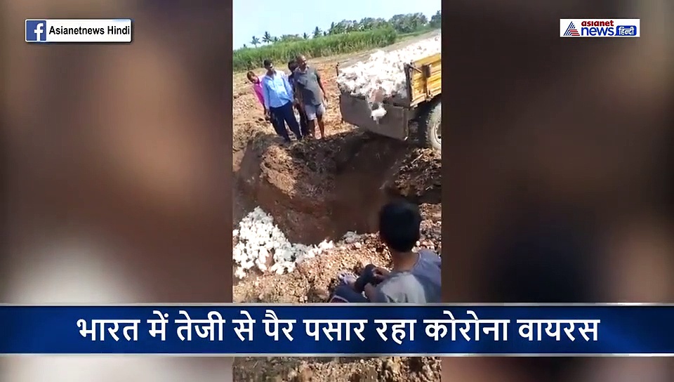 5 रुपये किलो चिकन बेचने को मजबूर, फिर भी कोई नहीं आ रहा खरीदने, किसान ने उठाया ये कदम